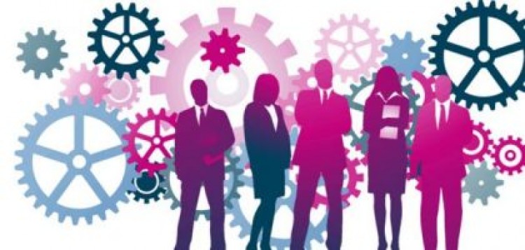 الجودة و العنصر البشرى